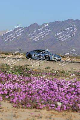 media/Jan-29-2023-PCA San Diego (Sun) [[aa0301ccc2]]/Yellow Group/Session 1 (Turn 15 Bloom)/